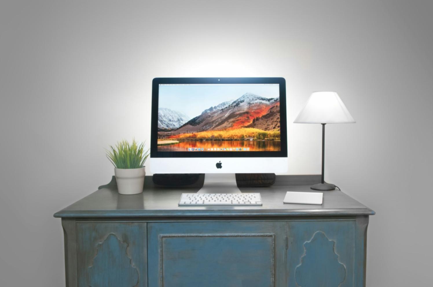 Search performance dashboard showing ranking improvements